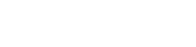 Micro Focus partner badge